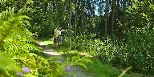 Wanderurlaub im Dreiburgenland